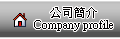 q²Company Profile